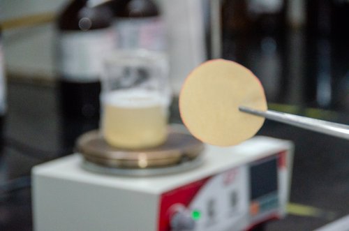 Filme biodegradável que protege e prolonga a vida útil de alimentos foi produzido a partir da alga marrom (Dictyota mertensii). Foto: Eduardo Mendonça/Assecom Ufersa.