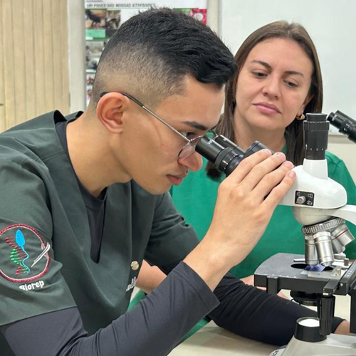 Laboratório de Biotecnologia da Reprodução Animal desenvolve pesquisas sobre criopreservação de material genético