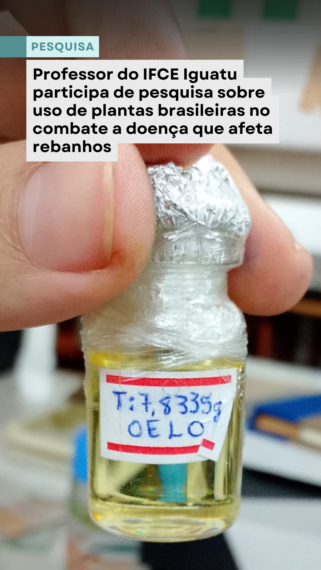 Pesquisa