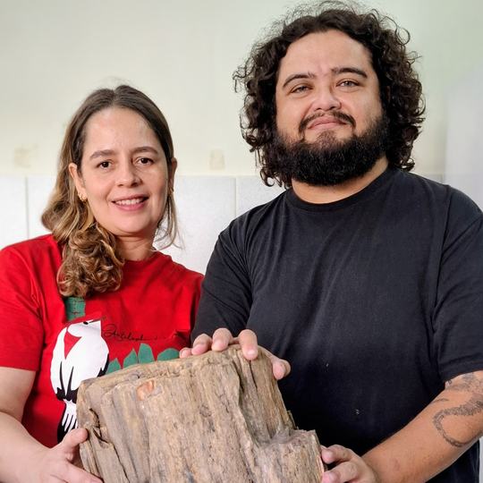 Tronco fóssil Jaguaribe