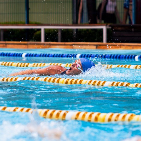 caef em movimento