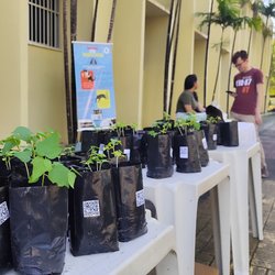 Entrega de mudas na Semana de Meio Ambiente do IFCE de Maracanaú